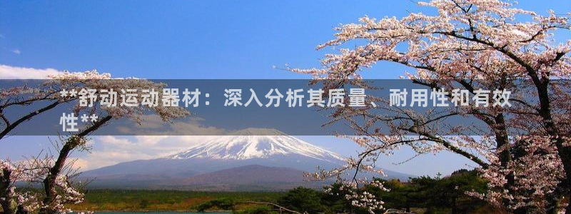 德国意昂3集团：**舒动运动器材：深入分析其质量、耐
