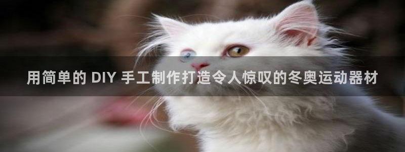 意昂体育3招商电话地址是多少：用简单的 DIY 手工