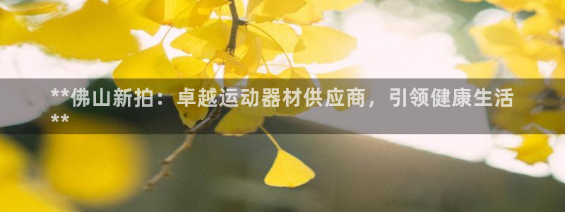 意昂体育3：**佛山新拍：卓越运动器材供应商，引领健