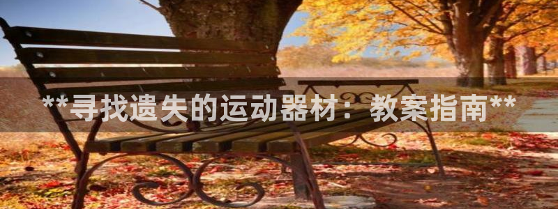 意昂体育3招商电话是多少：**寻找遗失的运动器材：教