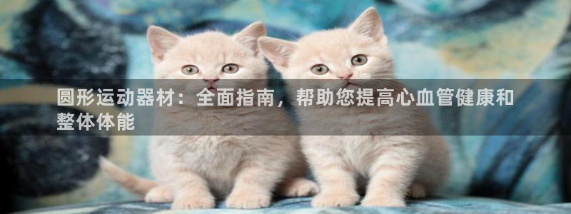 意昂集团官网：圆形运动器材：全面指南，帮助您提高心血