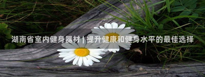 意昂体育3软件：湖南省室内健身器材 | 提升健康和健