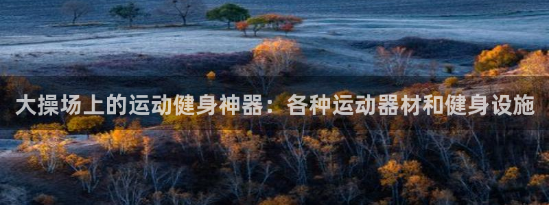意昂3五金厂：大操场上的运动健身神器：各种运动器材和