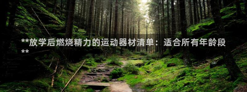 意昂3新能源：**放学后燃烧精力的运动器材清单：适合