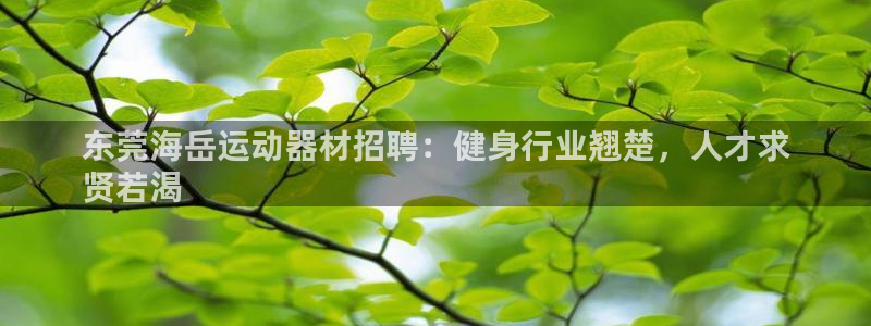 意昂体育3招商电话号码是多少号：东莞海岳运动器材招聘