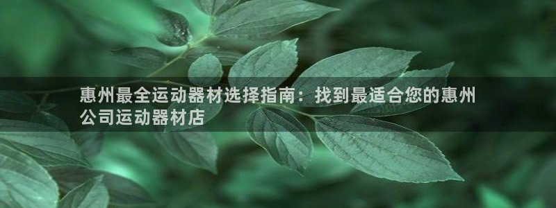 意昂3神州：惠州最全运动器材选择指南：找到最适合您的