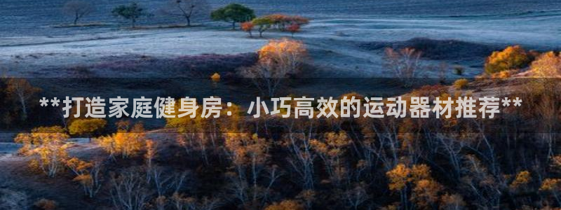 意昂体育3平台假的吗是真的吗：**打造家庭健身房：小