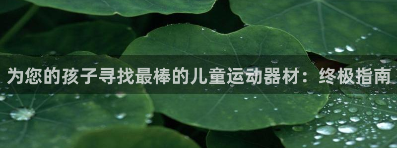 意昂3集团官网网址：为您的孩子寻找最棒的儿童运动器材