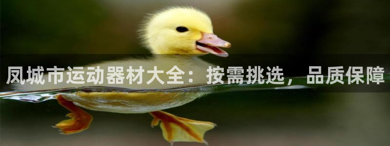 意昂体育3平台：凤城市运动器材大全：按需挑选，品质保