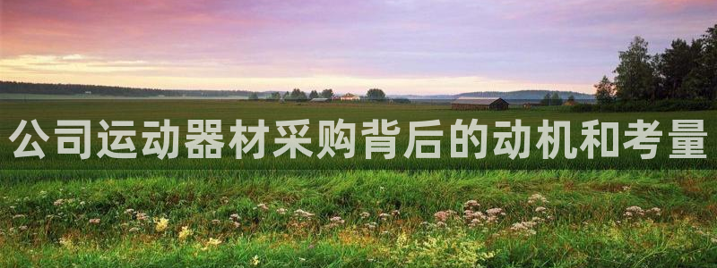 德国意昂3集团：公司运动器材采购背后的动机和考量