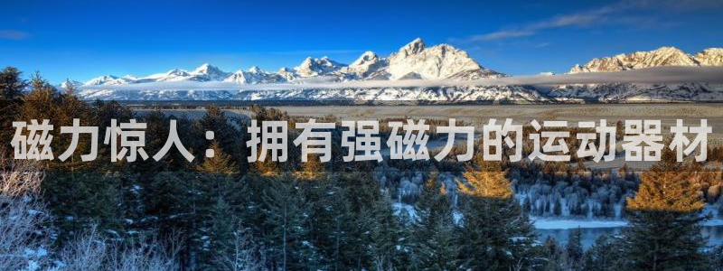 意昂体育3平台假的吗是真的吗：磁力惊人：拥有强磁力的