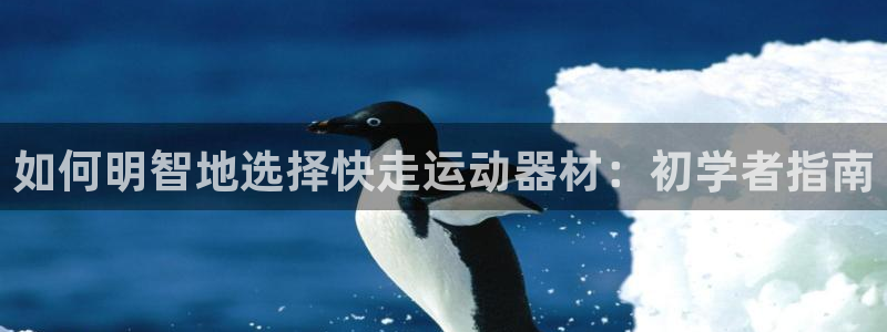 意昂3娱乐下载：如何明智地选择快走运动器材：初学者指