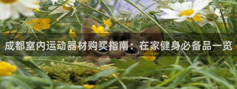 意昂集团官网：成都室内运动器材购买指南：在家健身必备