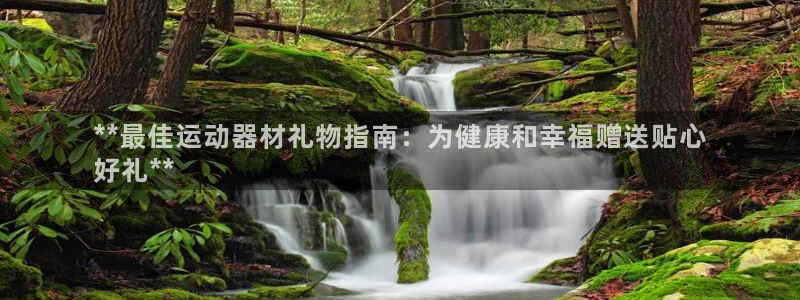 海南意昂体育3发展怎么样：**最佳运动器材礼物指南：
