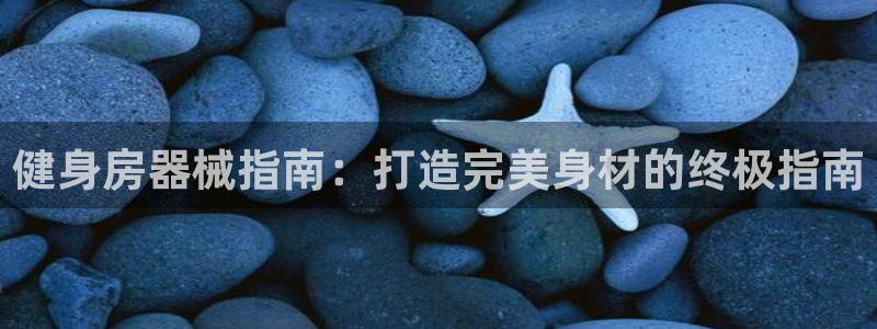 德国意昂3集团：健身房器械指南：打造完美身材的终极指