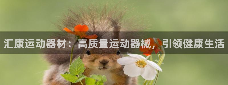 意昂体育3平台假的吗是真的吗吗：汇康运动器材：高质量