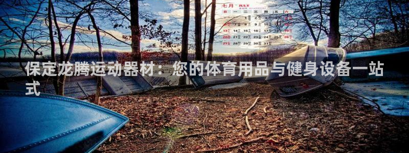 意昂体育3是干嘛的公司：保定龙腾运动器材：您的体育用