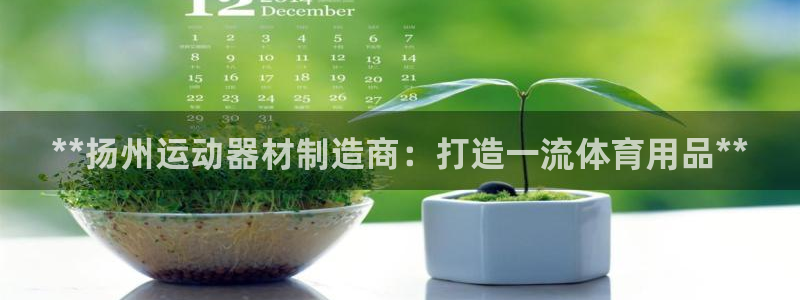 意昂体育3平台注册要钱吗安全吗：**扬州运动器材制造