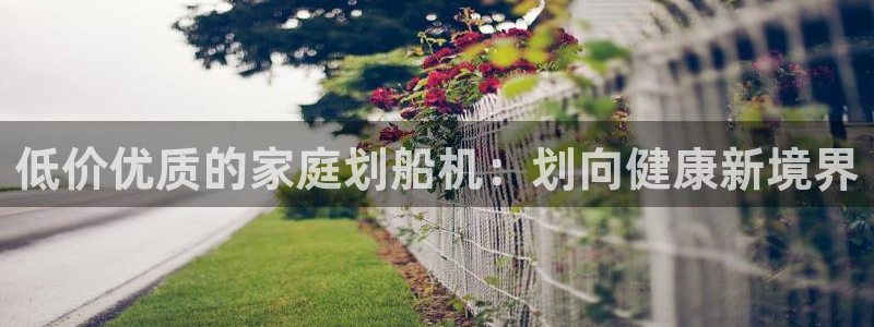 意昂体育3平台假的吗是真的吗：低价优质的家庭划船机：