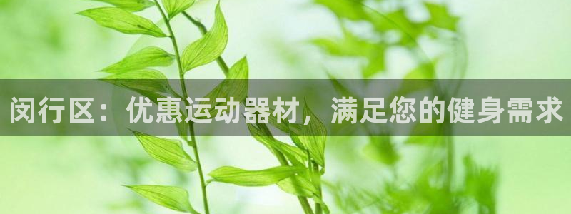 意昂体育3开户：闵行区：优惠运动器材，满足您的健身需