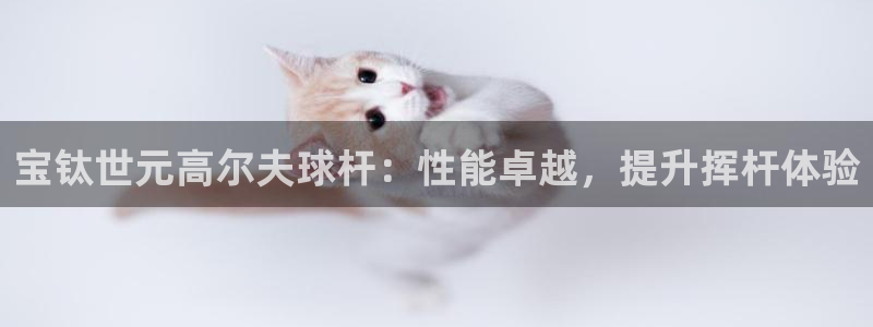 意昂体育3软件：宝钛世元高尔夫球杆：性能卓越，提升挥