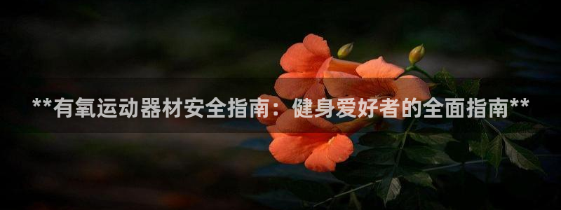 意昂3集团官网网址：**有氧运动器材安全指南：健身爱