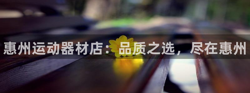 意昂3新能源：惠州运动器材店：品质之选，尽在惠州