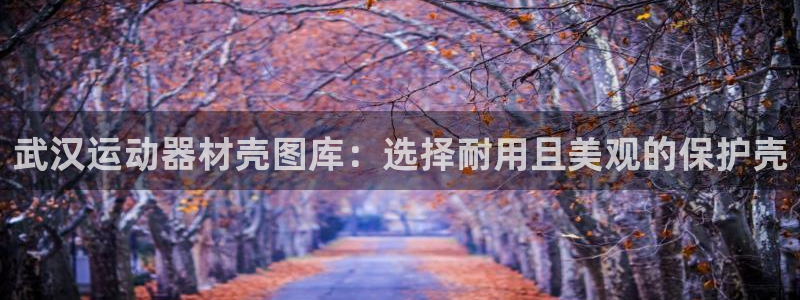 意昂体育3软件：武汉运动器材壳图库：选择耐用且美观的