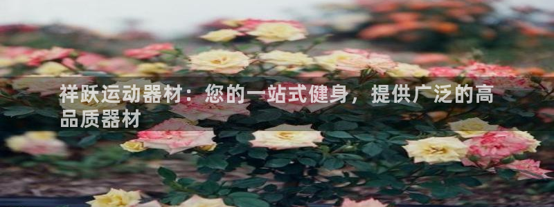 意昂3官网：祥跃运动器材：您的一站式健身，提供广泛的