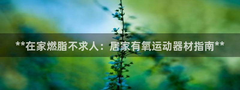 意昂3科技：**在家燃脂不求人：居家有氧运动器材指南