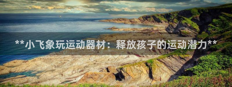 意昂3集团官网网址：**小飞象玩运动器材：释放孩子的