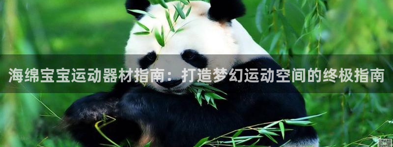 意昂体育3招商电话地址查询：海绵宝宝运动器材指南：打