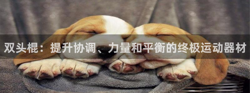意昂平台体育：双头棍：提升协调、力量和平衡的终极运动