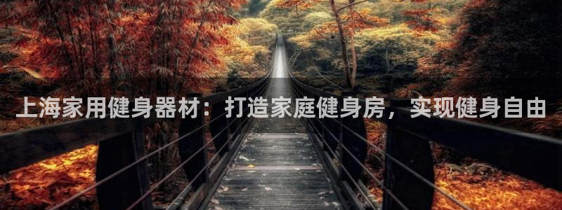 意昂体育3招商电话号码是多少：上海家用健身器材：打造