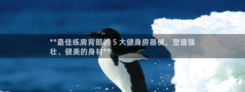 意昂3娱乐代理怎么样：**最佳练肩背部的 5 大健身