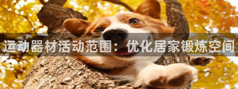意昂3娱乐首页官网下载：运动器材活动范围：优化居家锻