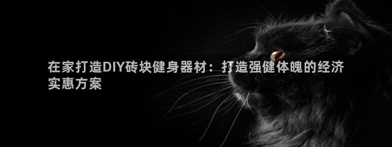 意昂3娱乐40996：在家打造DIY砖块健身器材：打