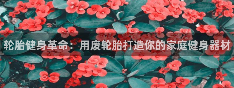 意昂平台体育：轮胎健身革命：用废轮胎打造你的家庭健身