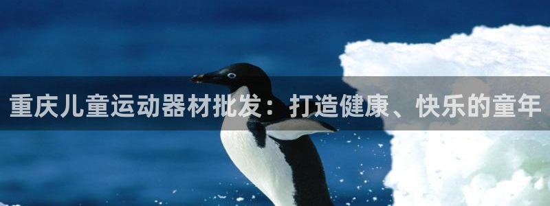 意昂3娱乐平台：重庆儿童运动器材批发：打造健康、快乐