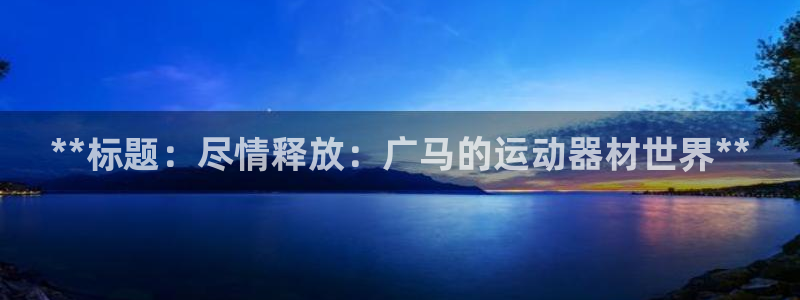 意昂体育3招商电话：**标题：尽情释放：广马的运动器