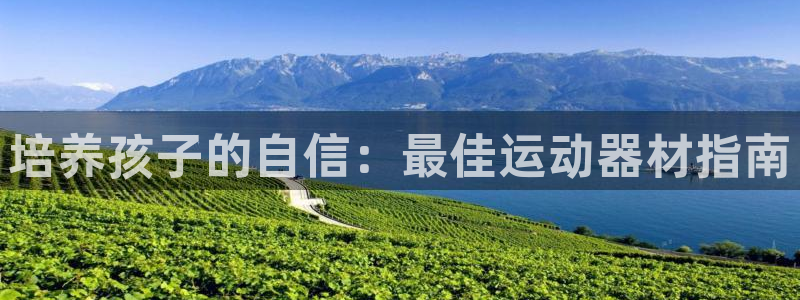 意昂体育3平台：培养孩子的自信：最佳运动器材指南
