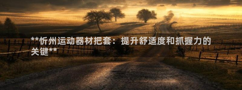 意昂体育3软件：**忻州运动器材把套：提升舒适度和抓