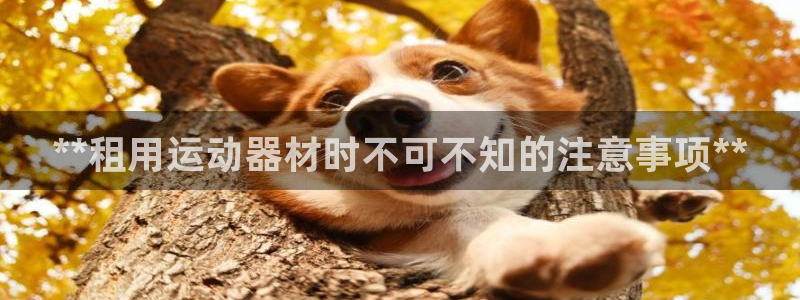 意昂3集团官网网址：**租用运动器材时不可不知的注意