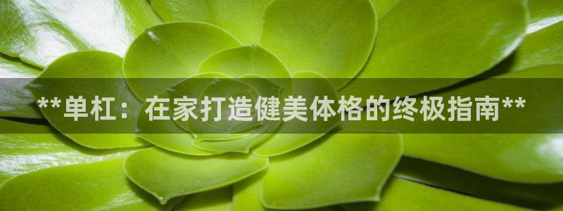 意昂体育3平台是正规平台吗安全吗：**单杠：在家打造