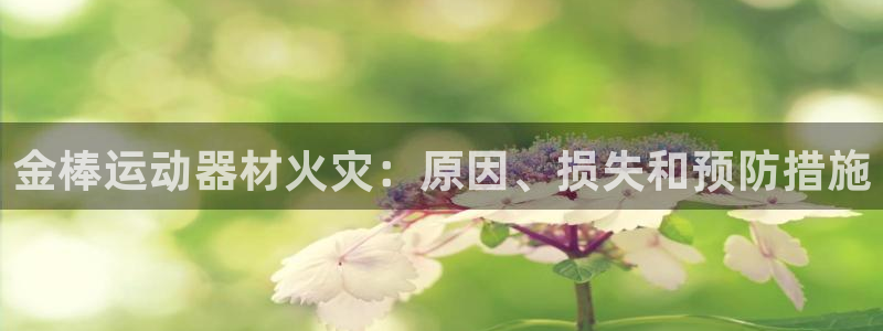 意昂体育3招商：金棒运动器材火灾：原因、损失和预防措
