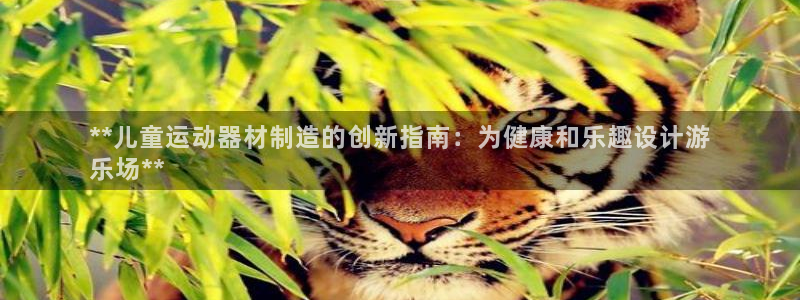 意昂3集团简介：**儿童运动器材制造的创新指南：为健