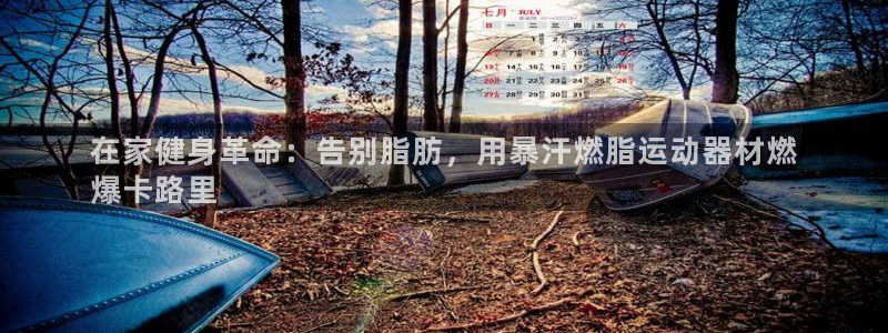 意昂3集团：在家健身革命：告别脂肪，用暴汗燃脂运动器