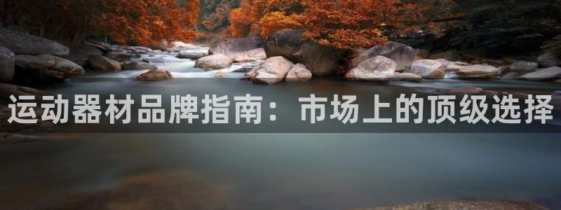 意昂体育3招商电话是多少号码：运动器材品牌指南：市场