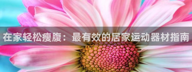 意昂3集团：在家轻松瘦腹：最有效的居家运动器材指南
