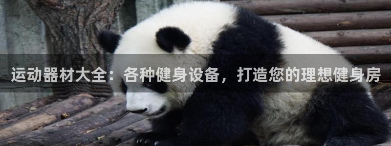 德国意昂3集团：运动器材大全：各种健身设备，打造您的